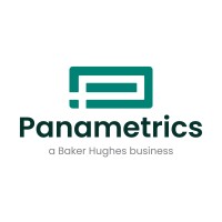 Panametrics LLC