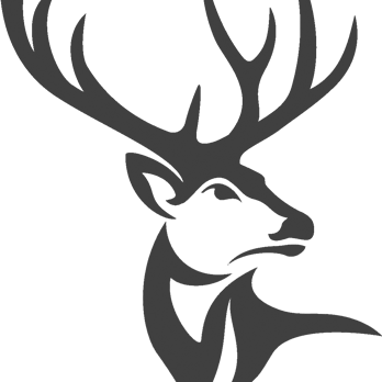 E A Buck Insurance