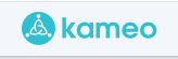 Kameo Svensk Filial