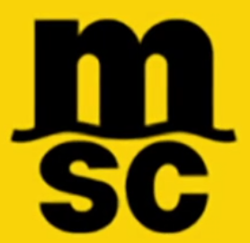 MSC Mediterranean