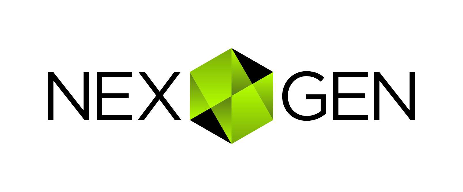 NexGen Storage, Inc.