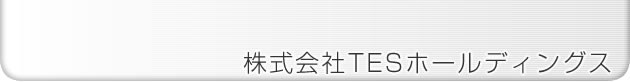 TES Holdings Co., Ltd.