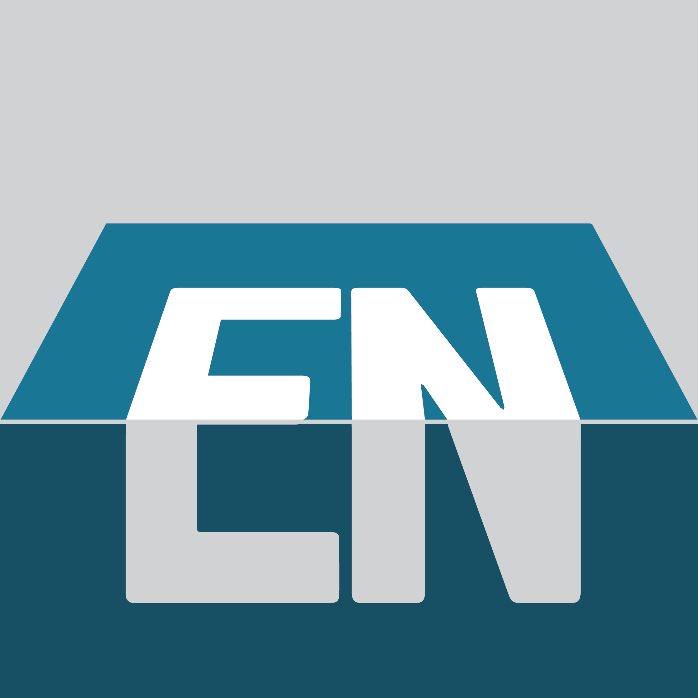 Edgewise Networks, Inc.