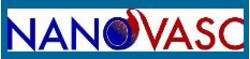NanoVasc, Inc.