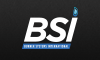 Burner Systems International, Inc.