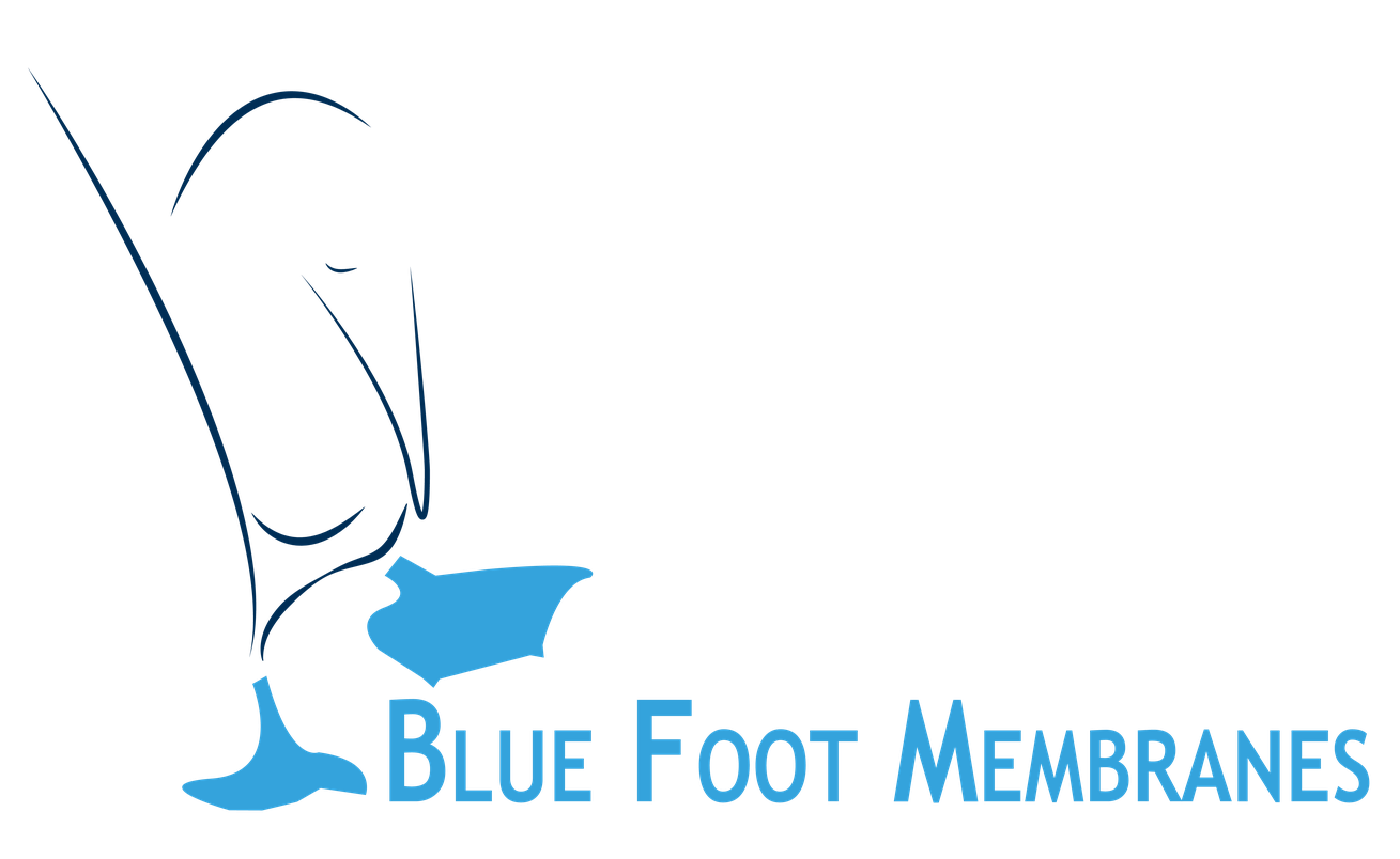 Blue Foot Membranes NV