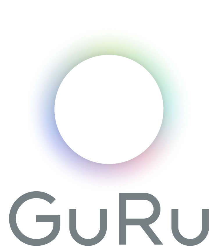 GuRu Wireless, Inc.