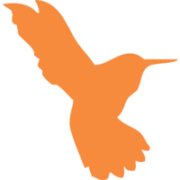 Preceptis Medical, Inc.