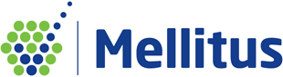 Mellitus LLC