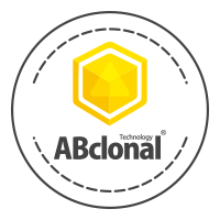 ABclonal Science, Inc.