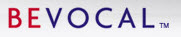 BeVocal, Inc.