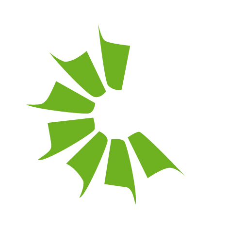 Bowman Power Group Ltd.