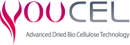 YOUCEL, Inc.