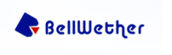 Bellwether Electronic
