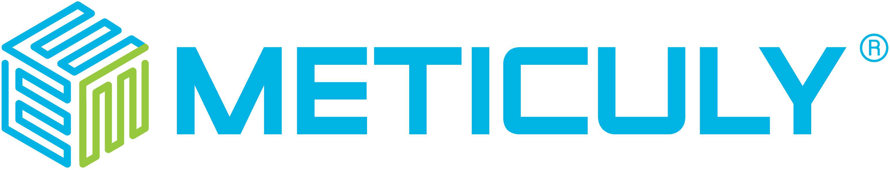 Meticuly