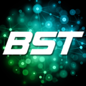 Brain State Technologies LLC
