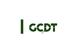 Gulf Coast Downhole Technologies LLC