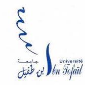 Ibn Tofail University