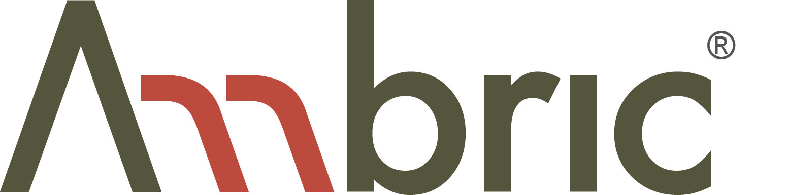 Ambric, Inc.
