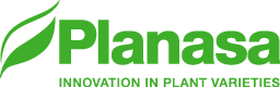 Plantas de Navarra SA