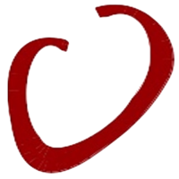 VivaQuant LLC