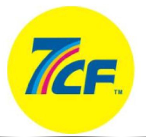 Shenzhen Sunrise New Energy Co., Ltd.