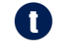 True Wearables, Inc.
