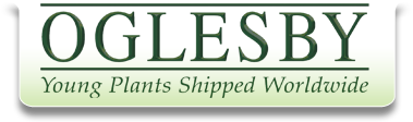 Oglesby Plants International, Inc.