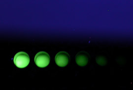 Lumiphore, Inc.