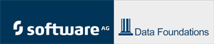 Data Foundations, Inc.
