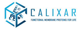 Calixar SAS