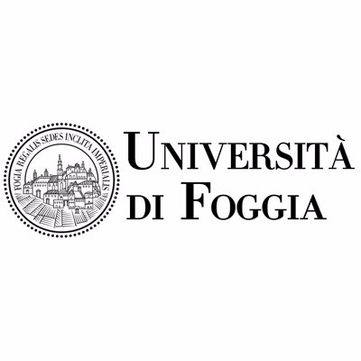Universita degli Studi di