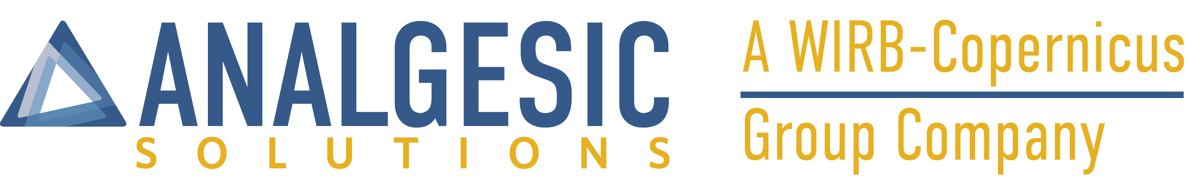 Analgesics Solutions LLC