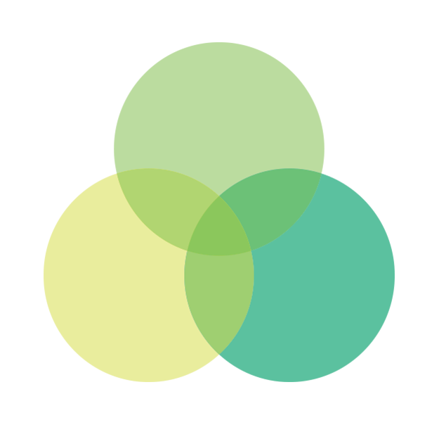 Apption Labs Ltd.