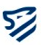 Lionic Corp.