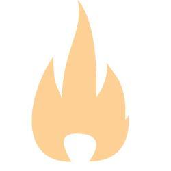 TechGuard Security LLC