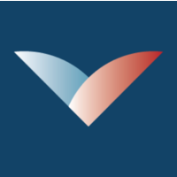 Vascular Simulations, Inc.