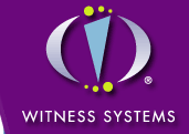 Witness Systems, Inc.