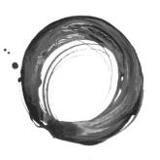 Full Circle Biochar, Inc.