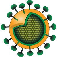 BioVentures Institute