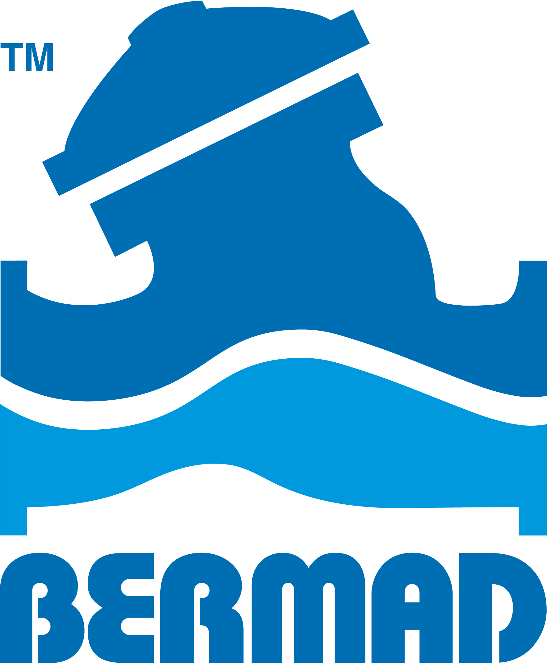 Bermad CS