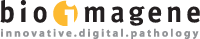 BioImagene, Inc.