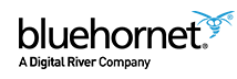 BlueHornet Networks