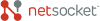 Netsocket, Inc.