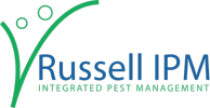 Russell IPM Ltd.