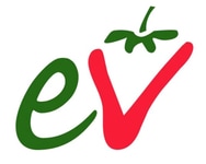 Edward Vinson Ltd.
