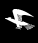 TokyoByokane Co., Ltd.