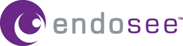 EndoSee Corp.