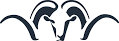 Blaser GmbH